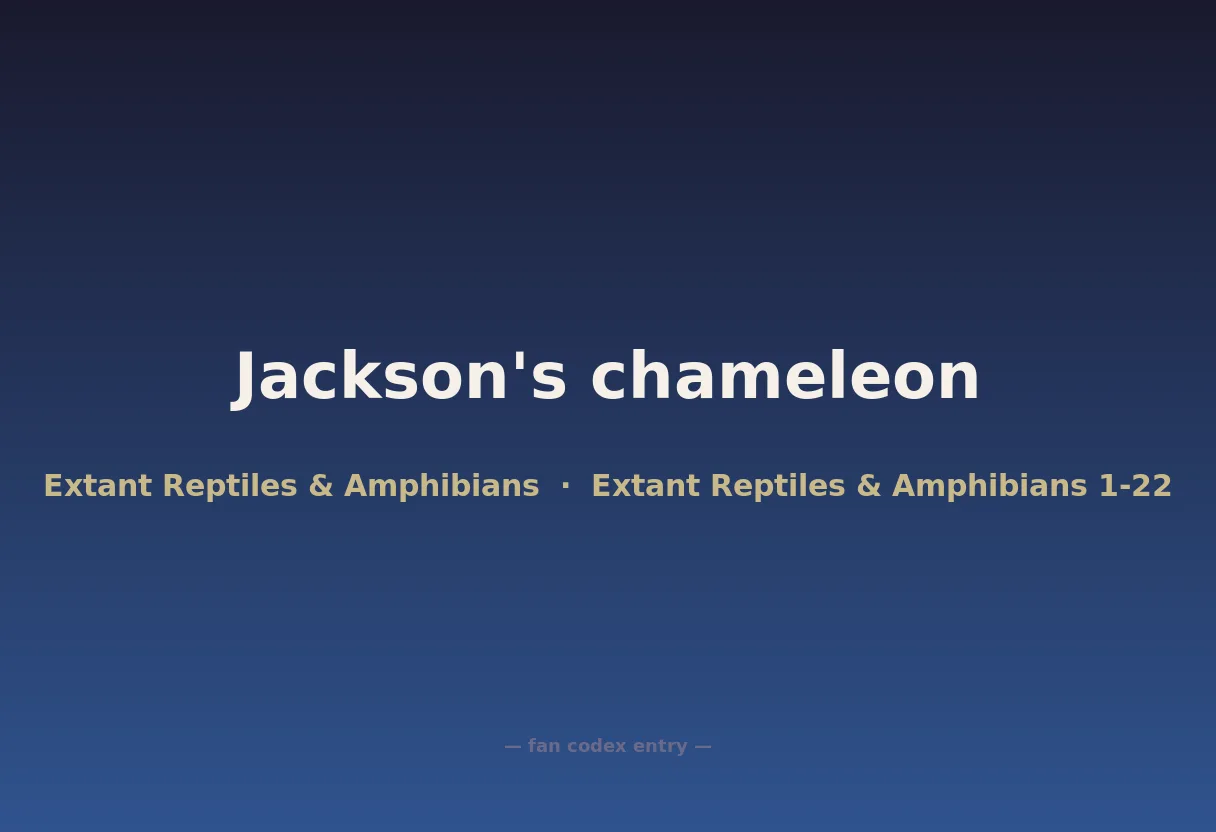 Jackson's chameleon