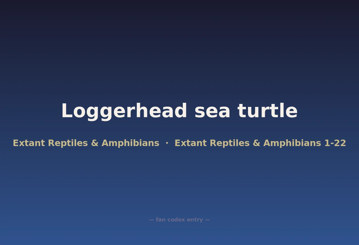 Loggerhead sea turtle