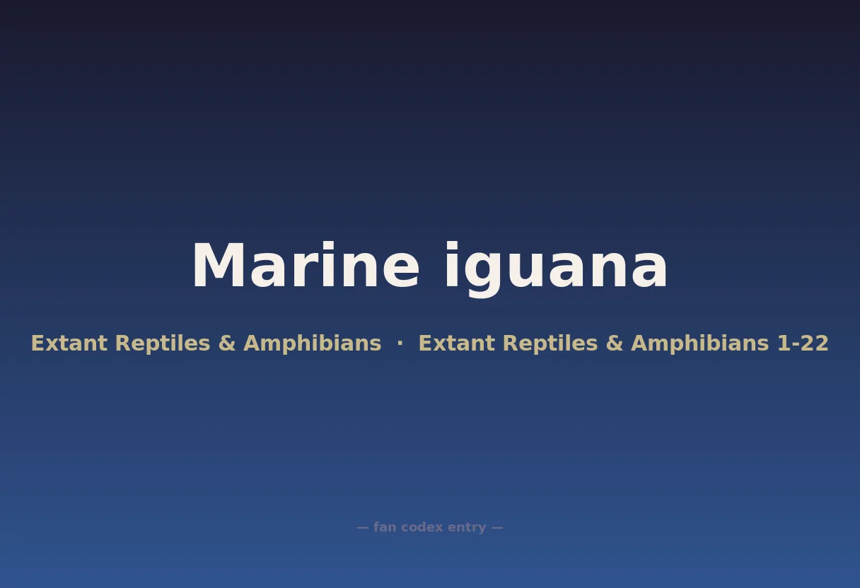 Marine iguana