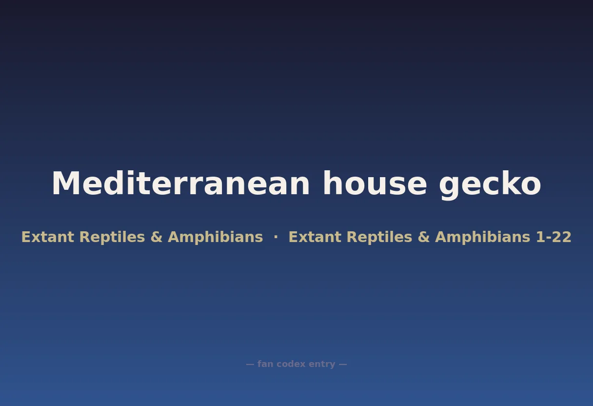 Mediterranean house gecko